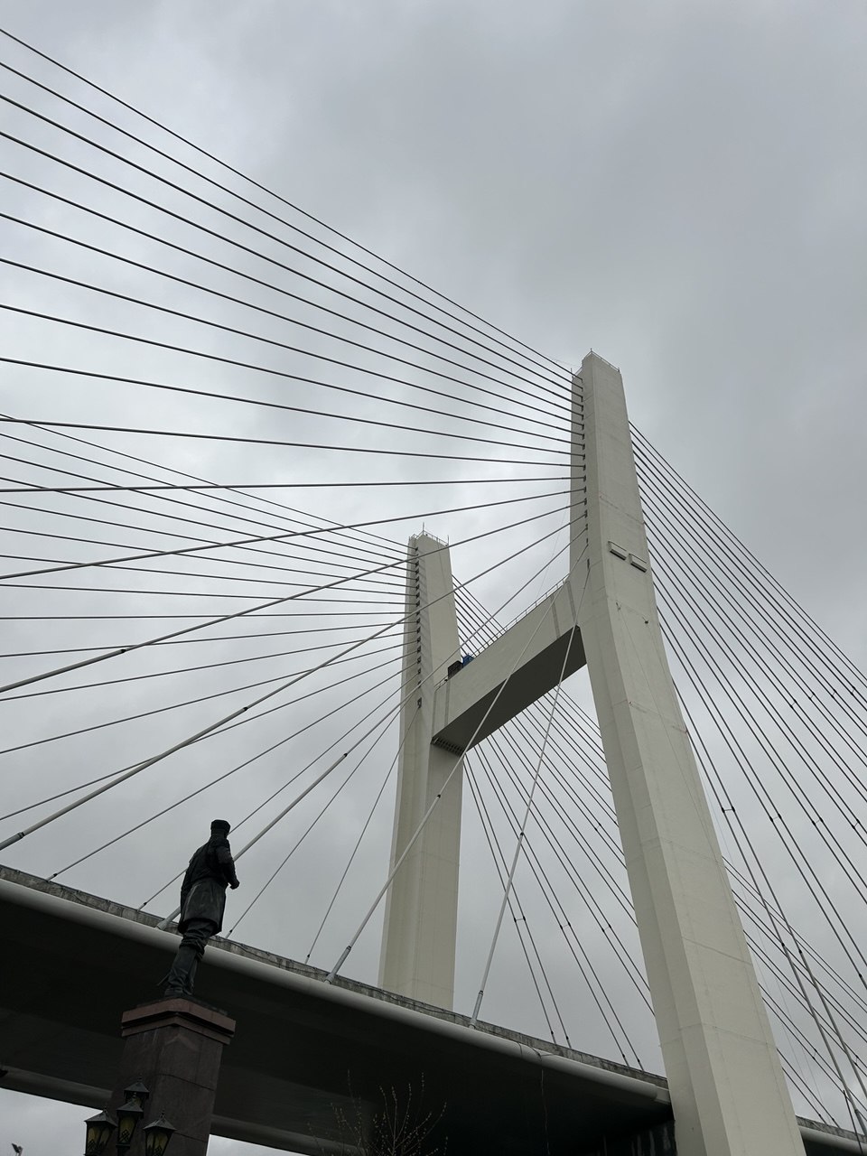 Новый мост через Обь будет обрабатываться материалами «Бионорд»